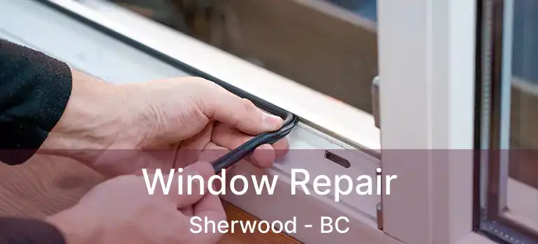  Window Repair Sherwood - BC