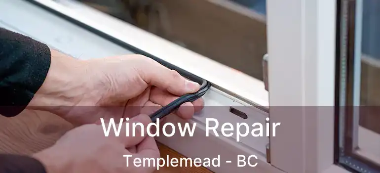  Window Repair Templemead - BC