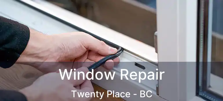  Window Repair Twenty Place - BC