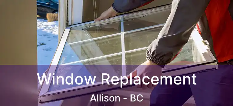  Window Replacement Allison - BC