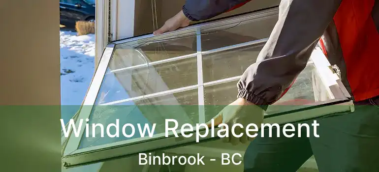  Window Replacement Binbrook - BC