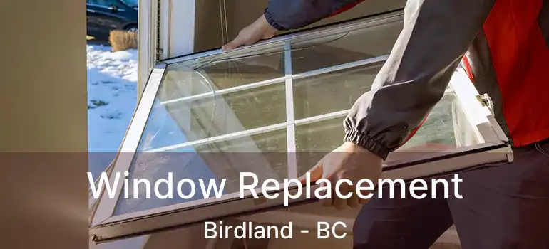  Window Replacement Birdland - BC