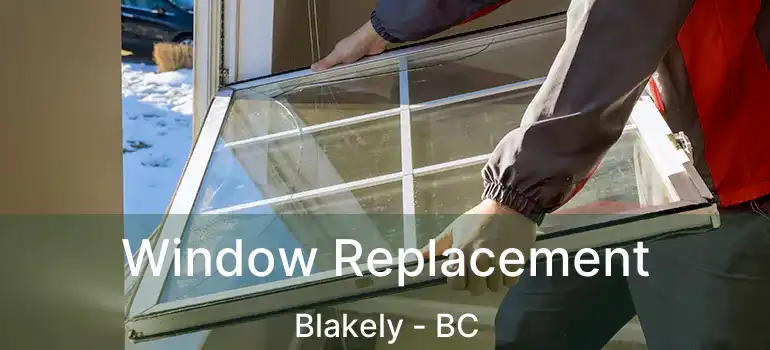  Window Replacement Blakely - BC