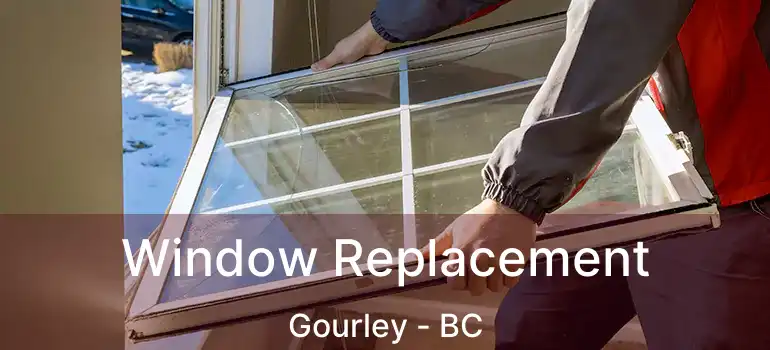  Window Replacement Gourley - BC