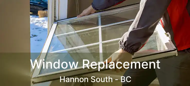  Window Replacement Hannon South - BC