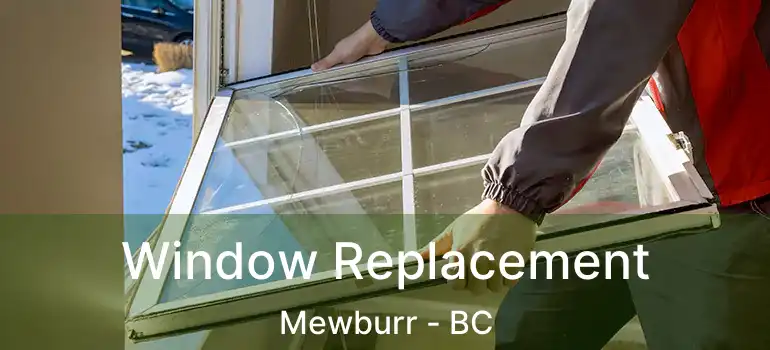  Window Replacement Mewburr - BC
