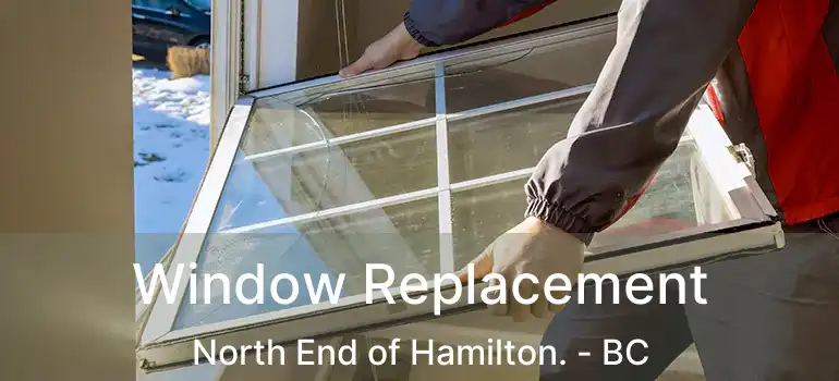  Window Replacement North End of Hamilton. - BC
