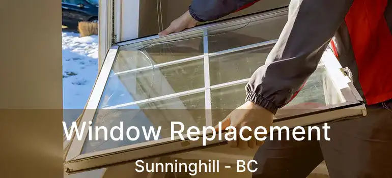  Window Replacement Sunninghill - BC