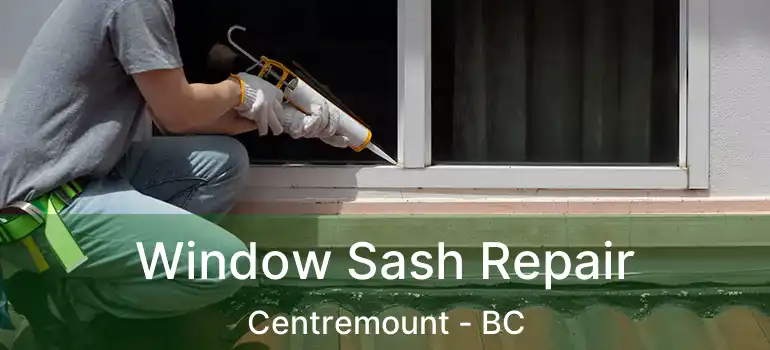  Window Sash Repair Centremount - BC