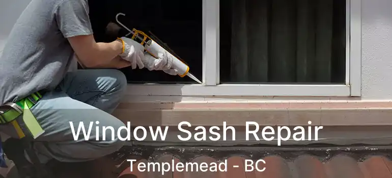  Window Sash Repair Templemead - BC