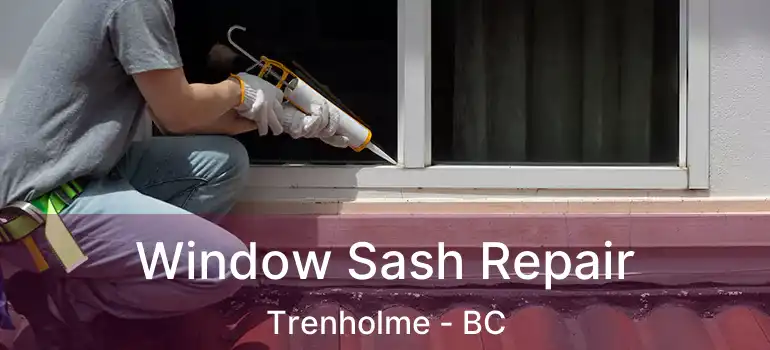  Window Sash Repair Trenholme - BC