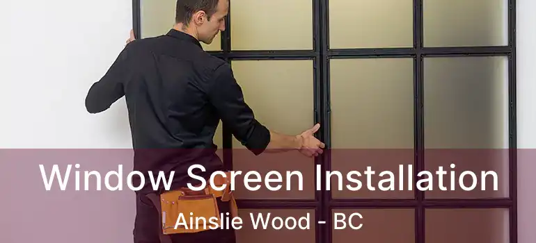  Window Screen Installation Ainslie Wood - BC