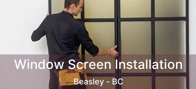  Window Screen Installation Beasley - BC