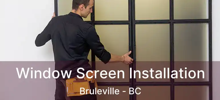  Window Screen Installation Bruleville - BC