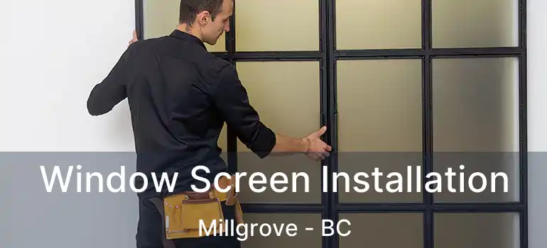  Window Screen Installation Millgrove - BC