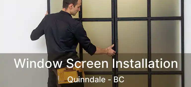  Window Screen Installation Quinndale - BC