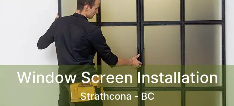  Window Screen Installation Strathcona - BC