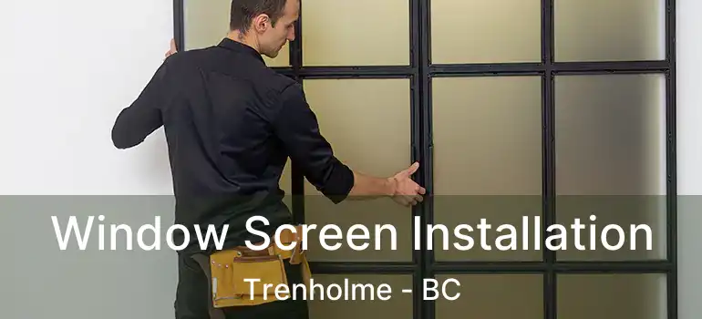 Window Screen Installation Trenholme - BC