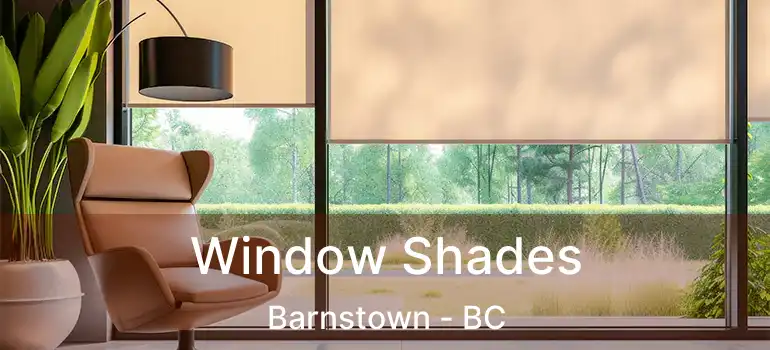  Window Shades Barnstown - BC