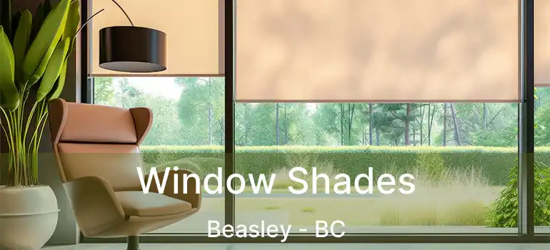  Window Shades Beasley - BC