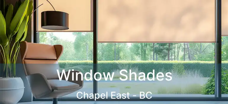  Window Shades Chapel East - BC