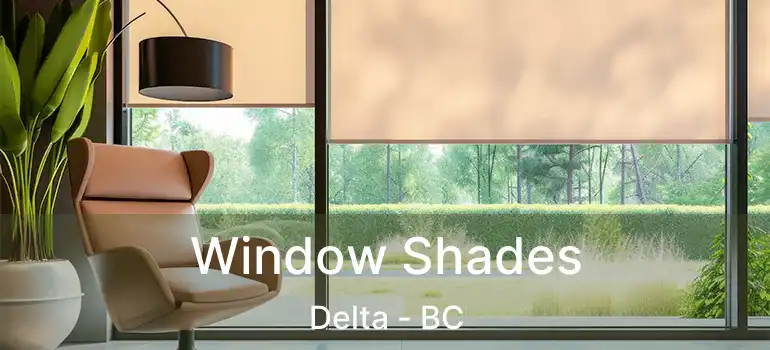  Window Shades Delta - BC