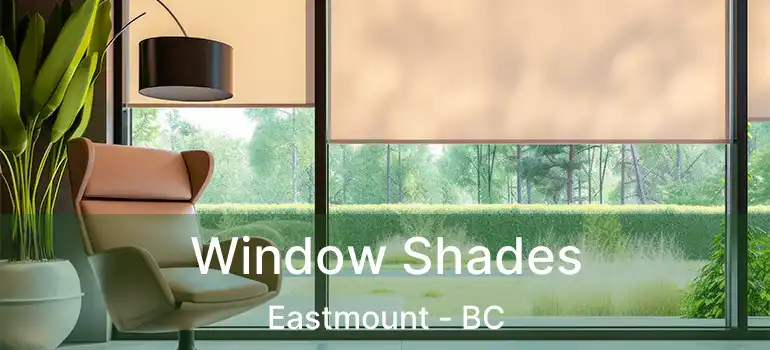  Window Shades Eastmount - BC
