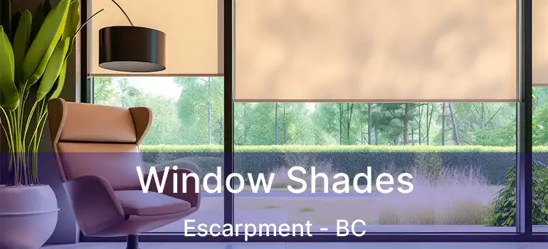  Window Shades Escarpment - BC