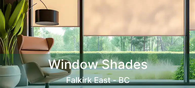  Window Shades Falkirk East - BC