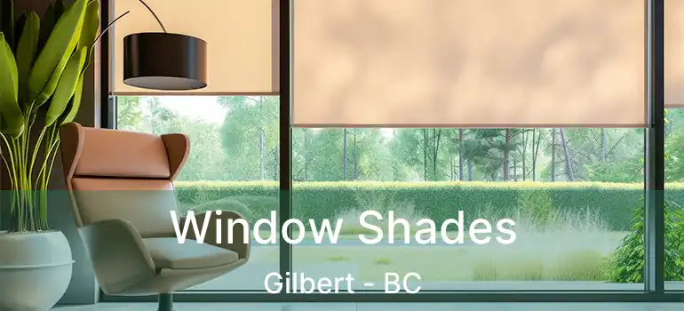  Window Shades Gilbert - BC