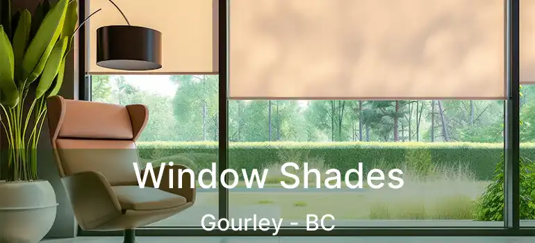  Window Shades Gourley - BC