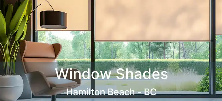  Window Shades Hamilton Beach - BC