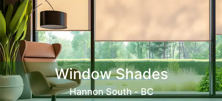  Window Shades Hannon South - BC