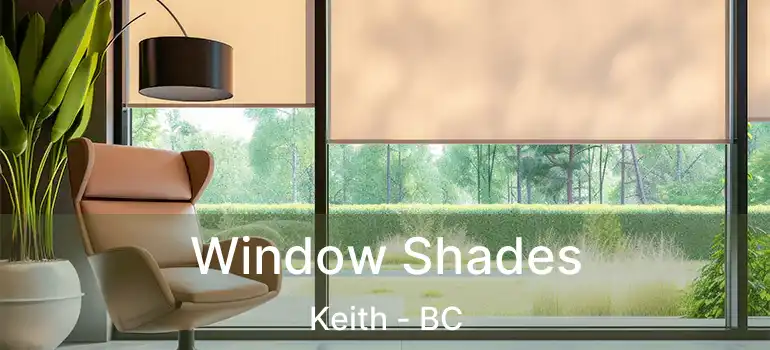 Window Shades Keith - BC
