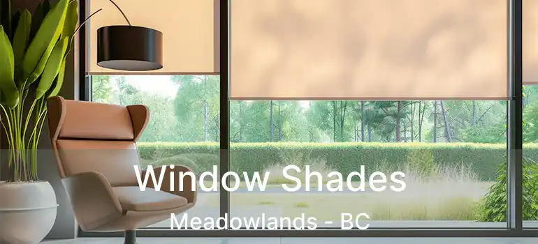  Window Shades Meadowlands - BC