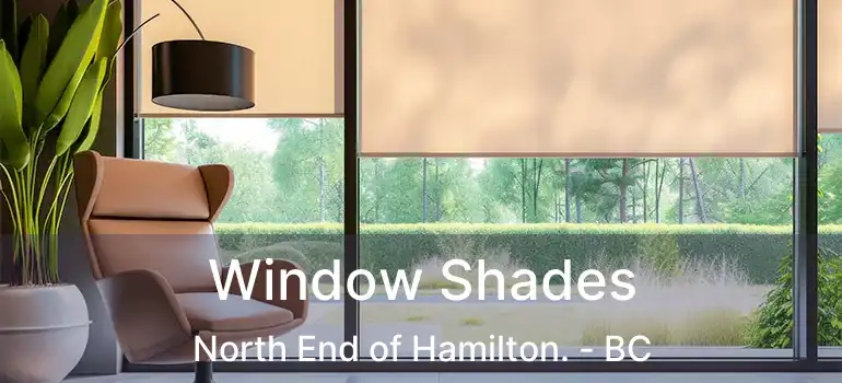  Window Shades North End of Hamilton. - BC