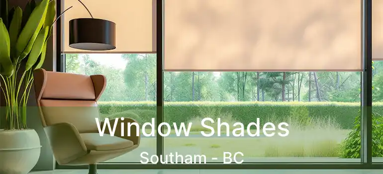  Window Shades Southam - BC