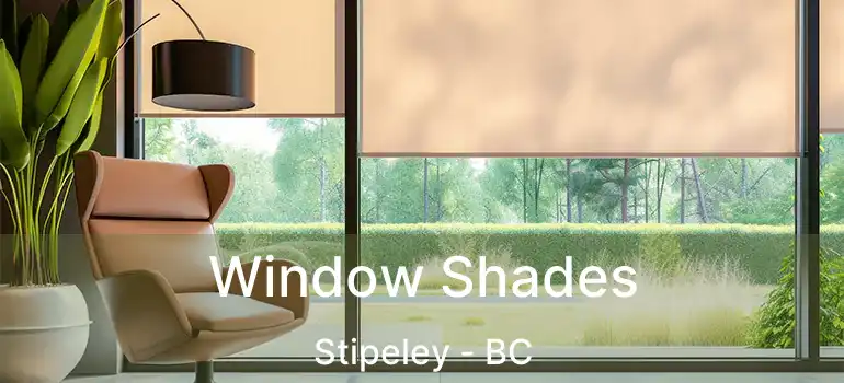  Window Shades Stipeley - BC