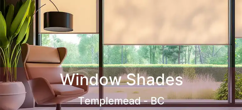  Window Shades Templemead - BC