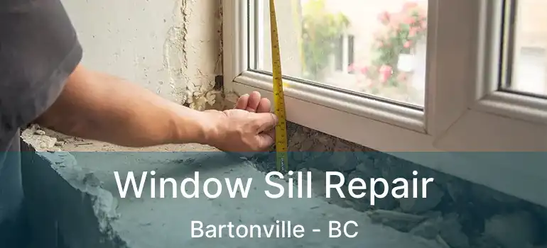  Window Sill Repair Bartonville - BC