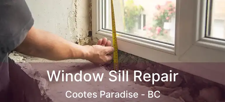  Window Sill Repair Cootes Paradise - BC