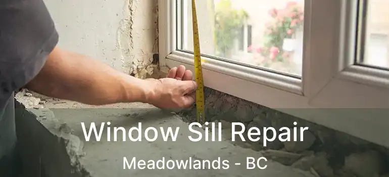  Window Sill Repair Meadowlands - BC