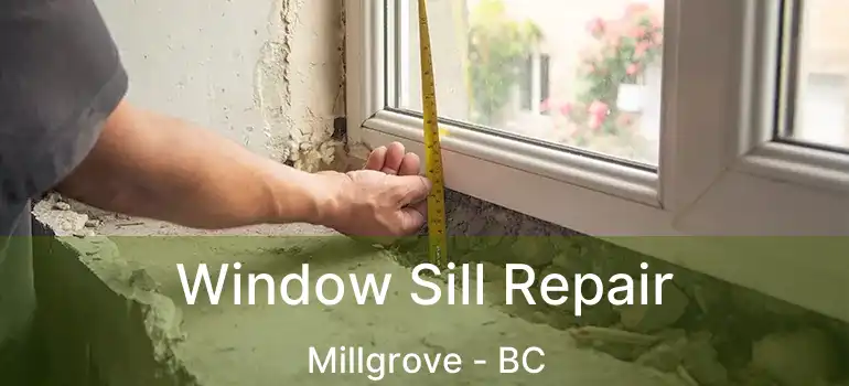  Window Sill Repair Millgrove - BC