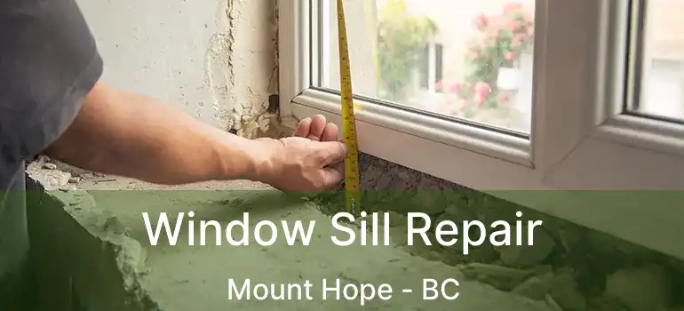  Window Sill Repair Mount Hope - BC