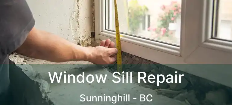  Window Sill Repair Sunninghill - BC