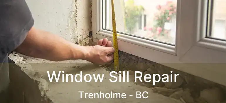 Window Sill Repair Trenholme - BC