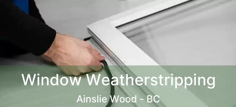  Window Weatherstripping Ainslie Wood - BC