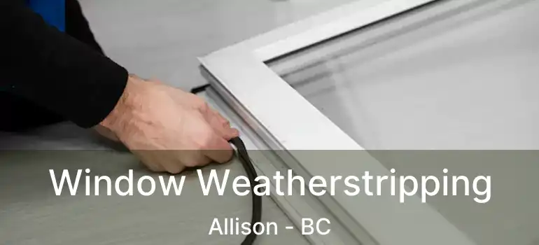  Window Weatherstripping Allison - BC