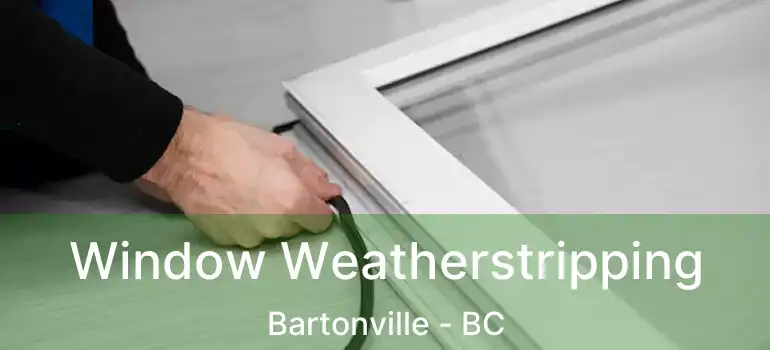  Window Weatherstripping Bartonville - BC