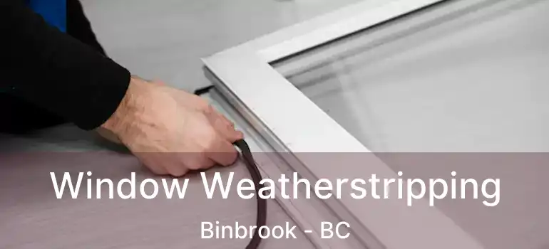  Window Weatherstripping Binbrook - BC